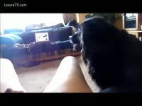 Creamy skinned honey entices her bushy black dog